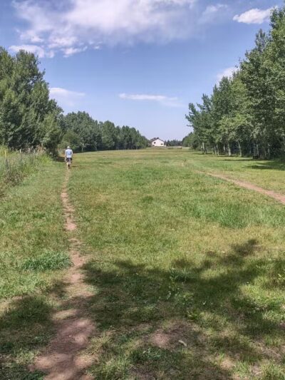 Double Ditch Dog Park - Red Lodge, MT