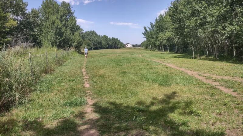 Double Ditch Dog Park - Red Lodge, MT