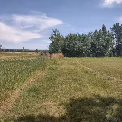 Double Ditch Dog Park - Red Lodge, MT