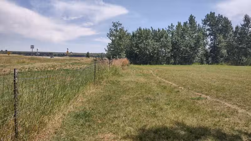 Double Ditch Dog Park - Red Lodge, MT