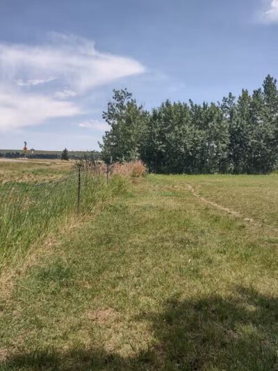 Double Ditch Dog Park - Red Lodge, MT