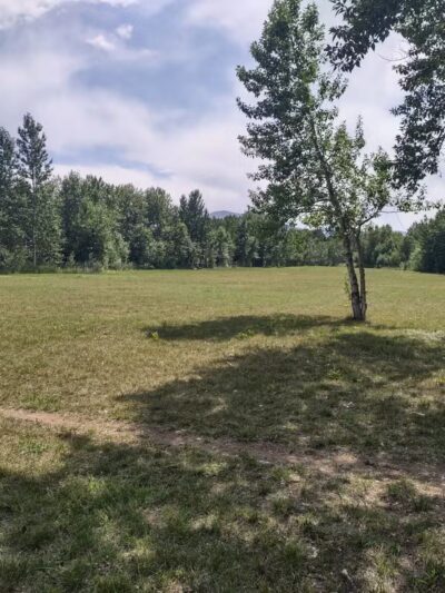 Double Ditch Dog Park - Red Lodge, MT