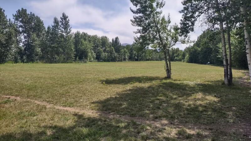 Double Ditch Dog Park - Red Lodge, MT