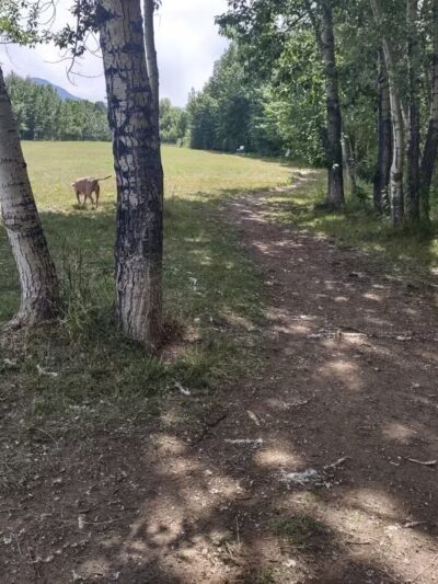 Double Ditch Dog Park - Red Lodge, MT