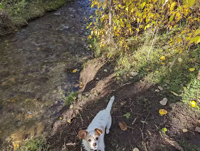 Double Ditch Dog Park - Red Lodge, MT