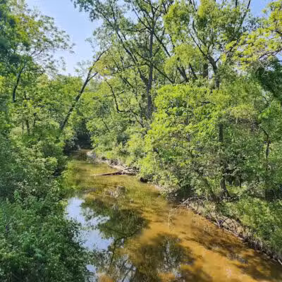 Bell Creek County Park - Redford Township,