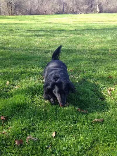 Bell Creek County Park - Redford Township,