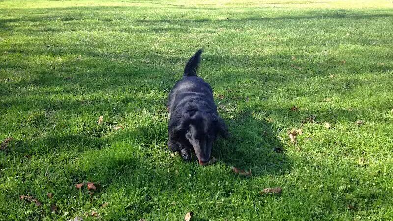 Bell Creek County Park - Redford Township,