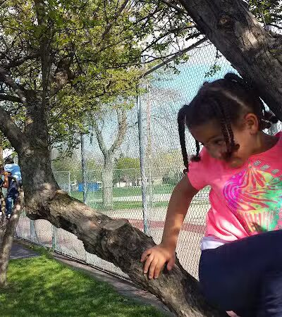 Claude Allison Park - Redford Township,