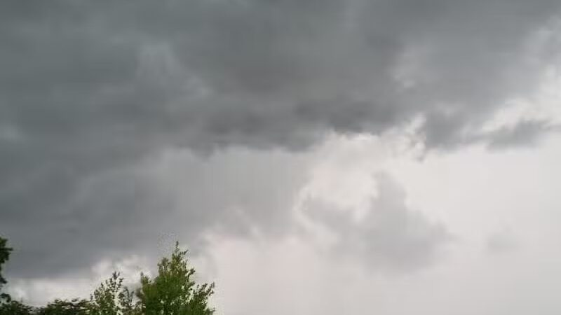 Claude Allison Park - Redford Township,