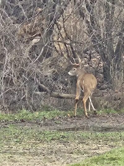 Lola Valley Parkway - Redford Township,