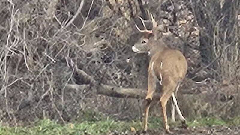 Lola Valley Parkway - Redford Township,