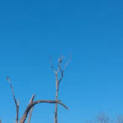 Lola Valley Parkway - Redford Township,