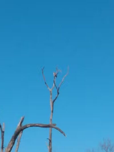 Lola Valley Parkway - Redford Township,