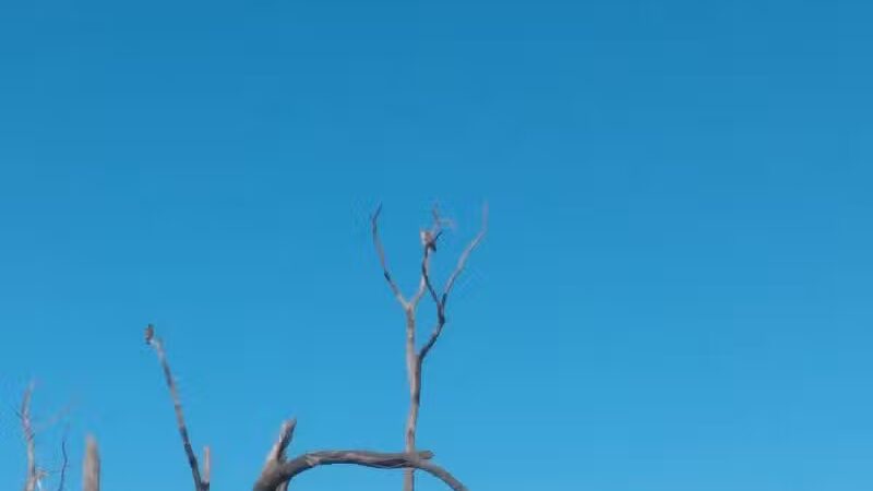 Lola Valley Parkway - Redford Township,