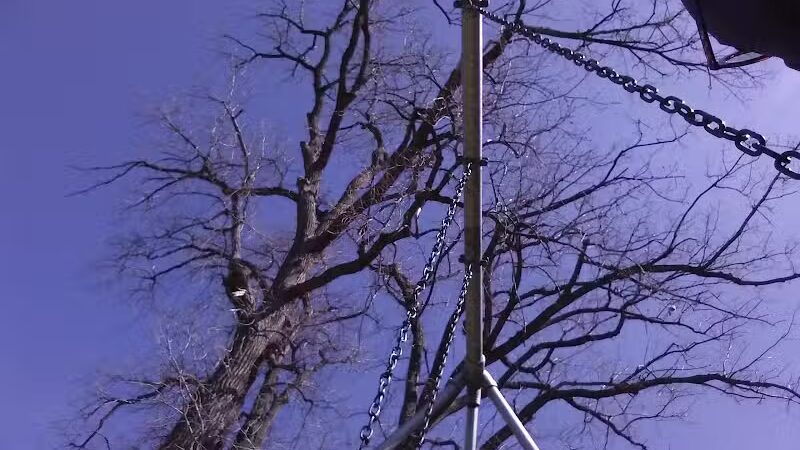 Lola Valley Parkway - Redford Township,