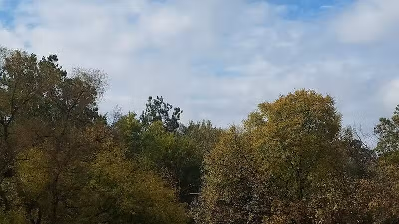 Lola Valley Parkway - Redford Township,