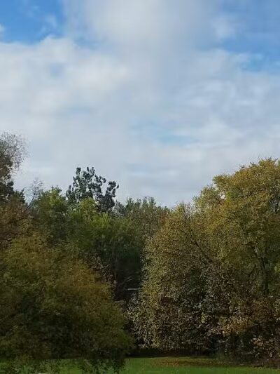 Lola Valley Parkway - Redford Township,