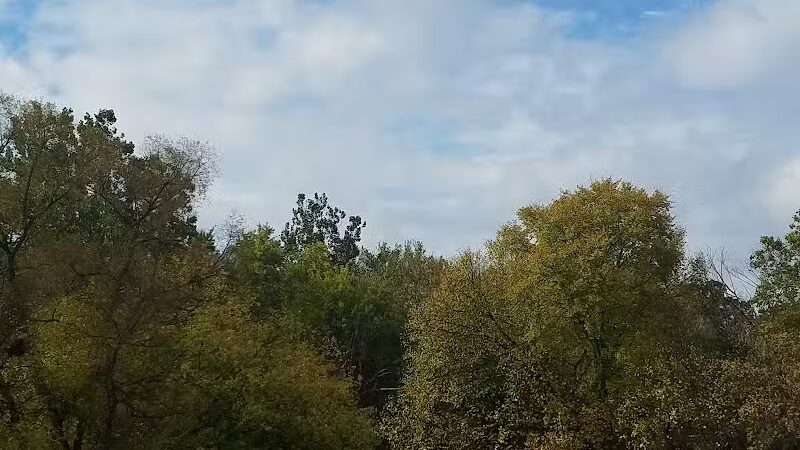 Lola Valley Parkway - Redford Township,