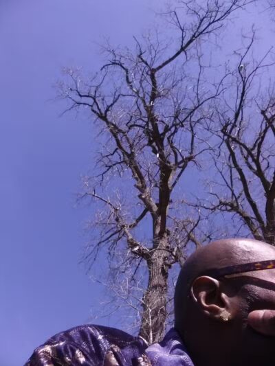 Lola Valley Parkway - Redford Township,