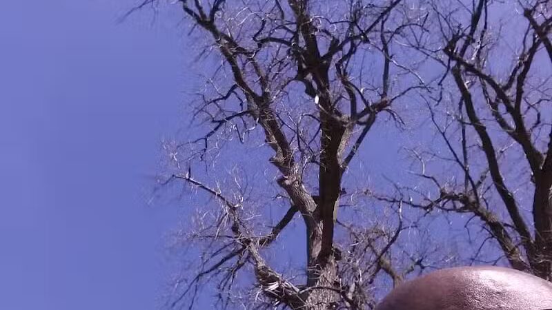 Lola Valley Parkway - Redford Township,