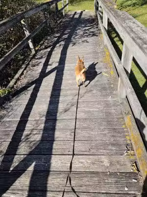 Rambadt Park - Reed City,