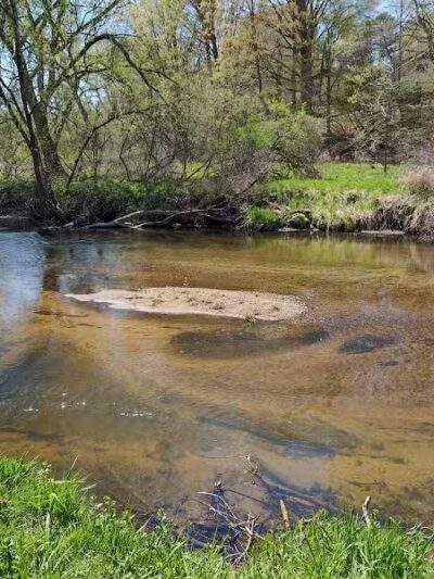 Rambadt Park - Reed City,