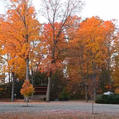 Rambadt Park - Reed City,