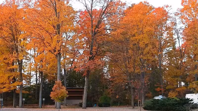 Rambadt Park - Reed City,