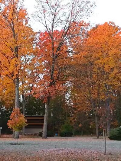 Rambadt Park - Reed City,