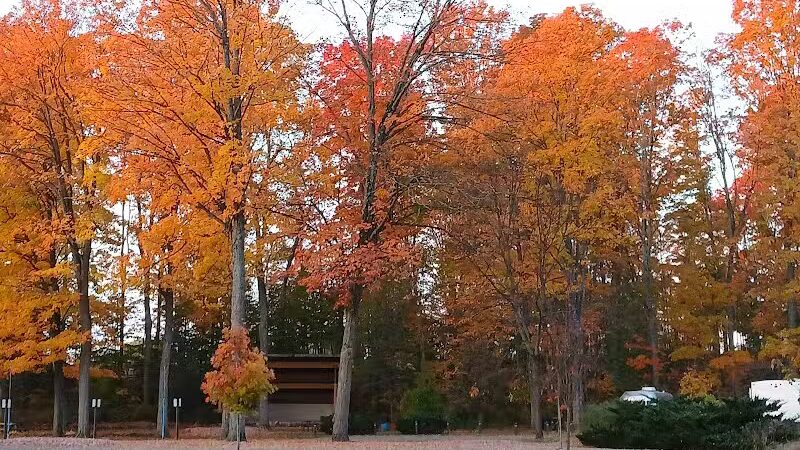 Rambadt Park - Reed City,
