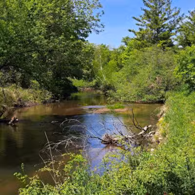 Rambadt Park - Reed City,