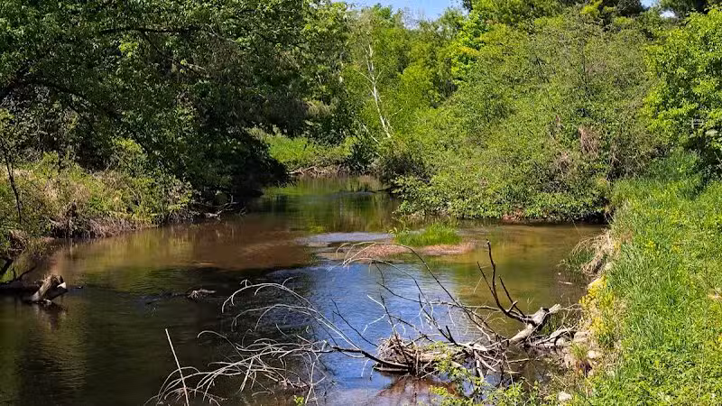 Rambadt Park - Reed City,
