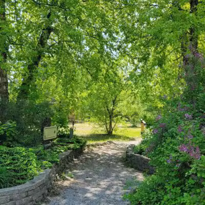 Rambadt Park - Reed City,