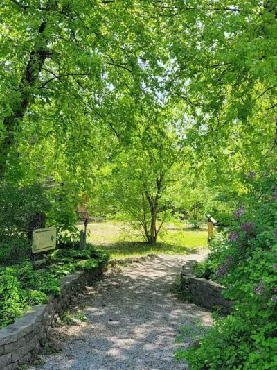 Rambadt Park - Reed City,