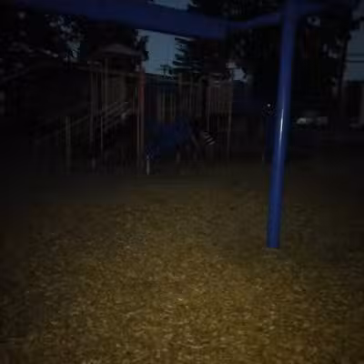 Reese Memorial Park - Reese,