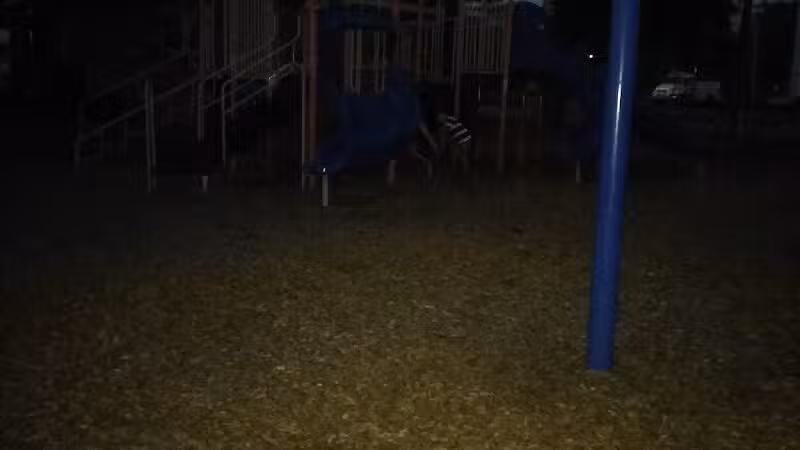 Reese Memorial Park - Reese,