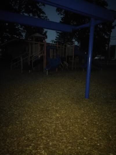 Reese Memorial Park - Reese,