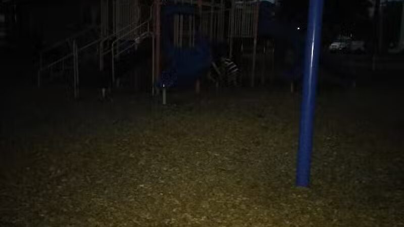 Reese Memorial Park - Reese,