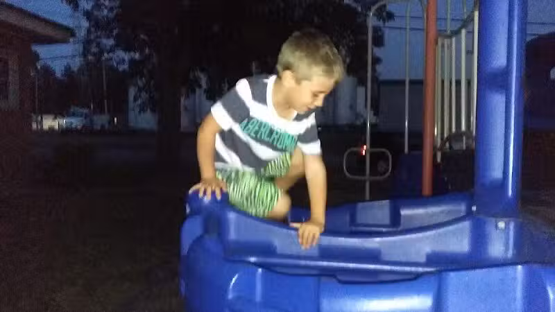 Reese Memorial Park - Reese,