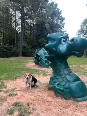 Tyger Run Dog Park - Reidville, SC