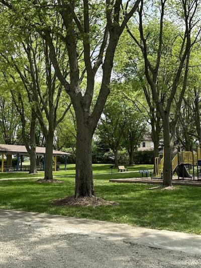 Elmwood Park - Reinbeck, IA