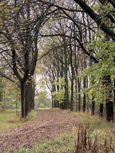 Reinbeck Greenbelt Area - Reinbeck, IA