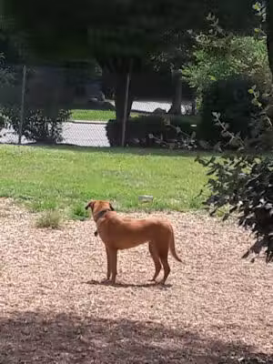 BARC Park - Reisterstown, MD