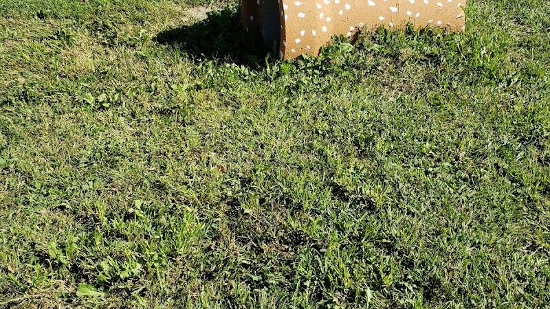 Rensselaer Dog Park - Rensselaer, IN