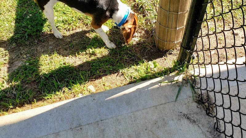 Rensselaer Dog Park - Rensselaer, IN