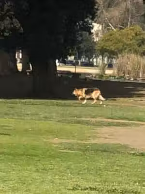 Reseda Park - Reseda, CA