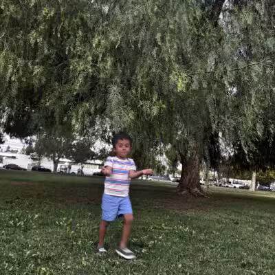 Randal D. Simmons Park - Reseda, CA