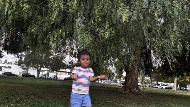 Randal D. Simmons Park - Reseda, CA