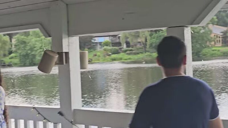 Baron Cameron Park - Reston, VA